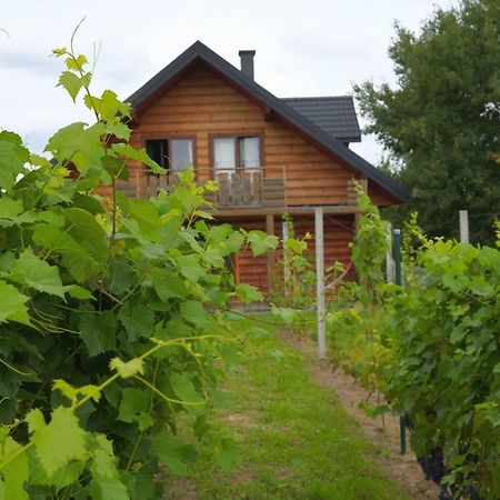 Dom Pachnacy Zywica Villa Bochnia Luaran gambar