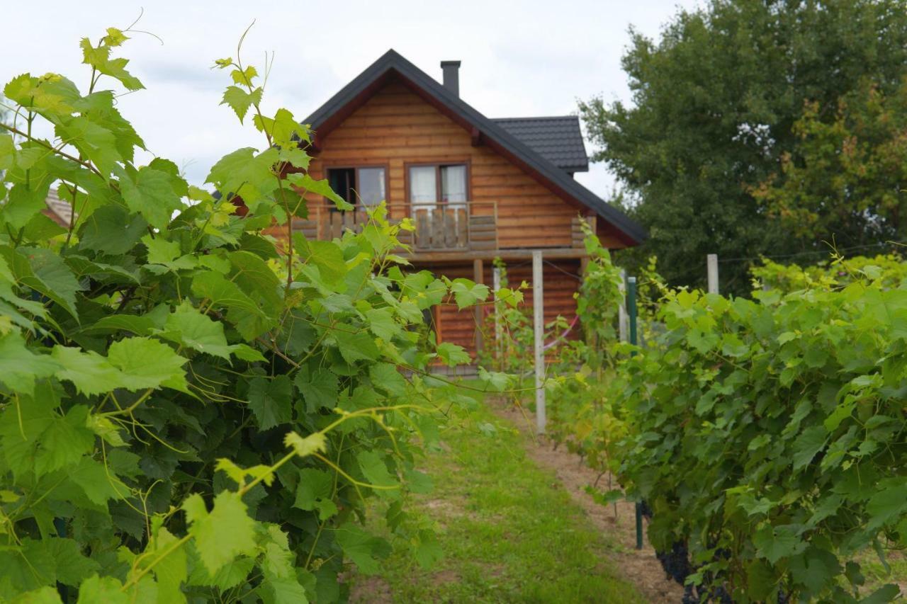 Dom Pachnacy Zywica Villa Bochnia Luaran gambar