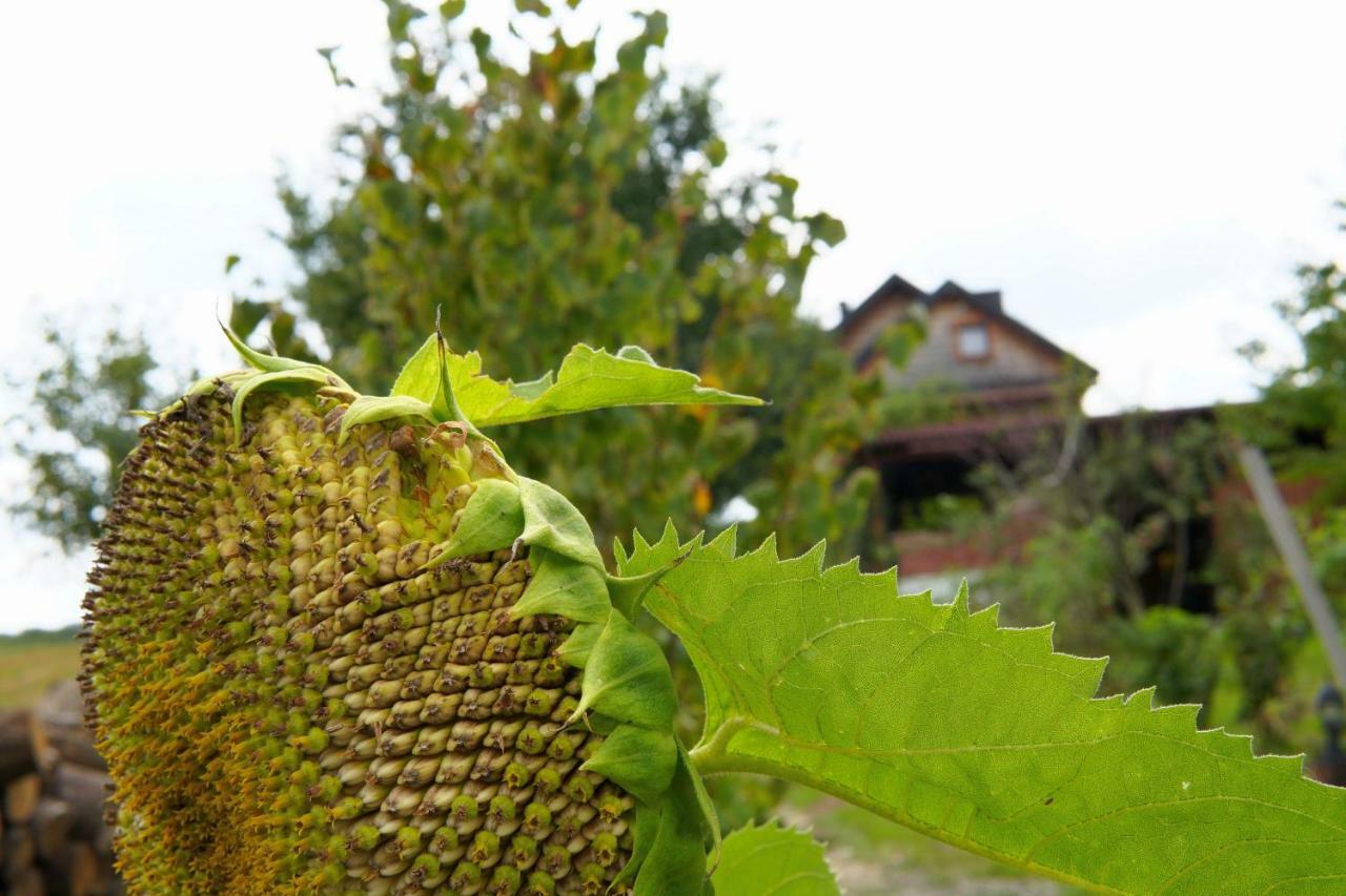 Dom Pachnacy Zywica Villa Bochnia Luaran gambar