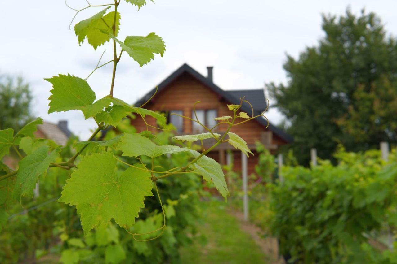 Dom Pachnacy Zywica Villa Bochnia Luaran gambar